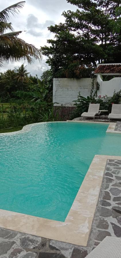 Sunmoonstarvillas Yogyakarta Jarakan Εξωτερικό φωτογραφία